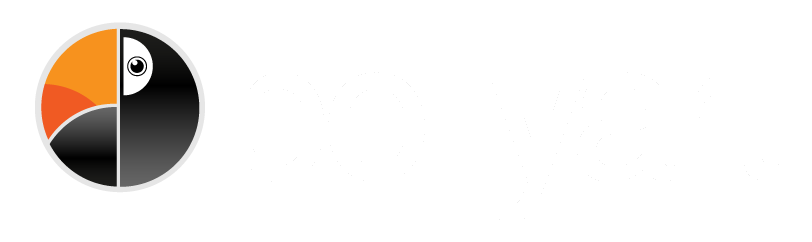 PollyArt - agencja marketingowa
